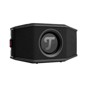 Teufel Rockster Go 2 schwarz